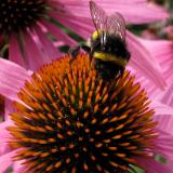 1107G 077 Schloss Seeburg